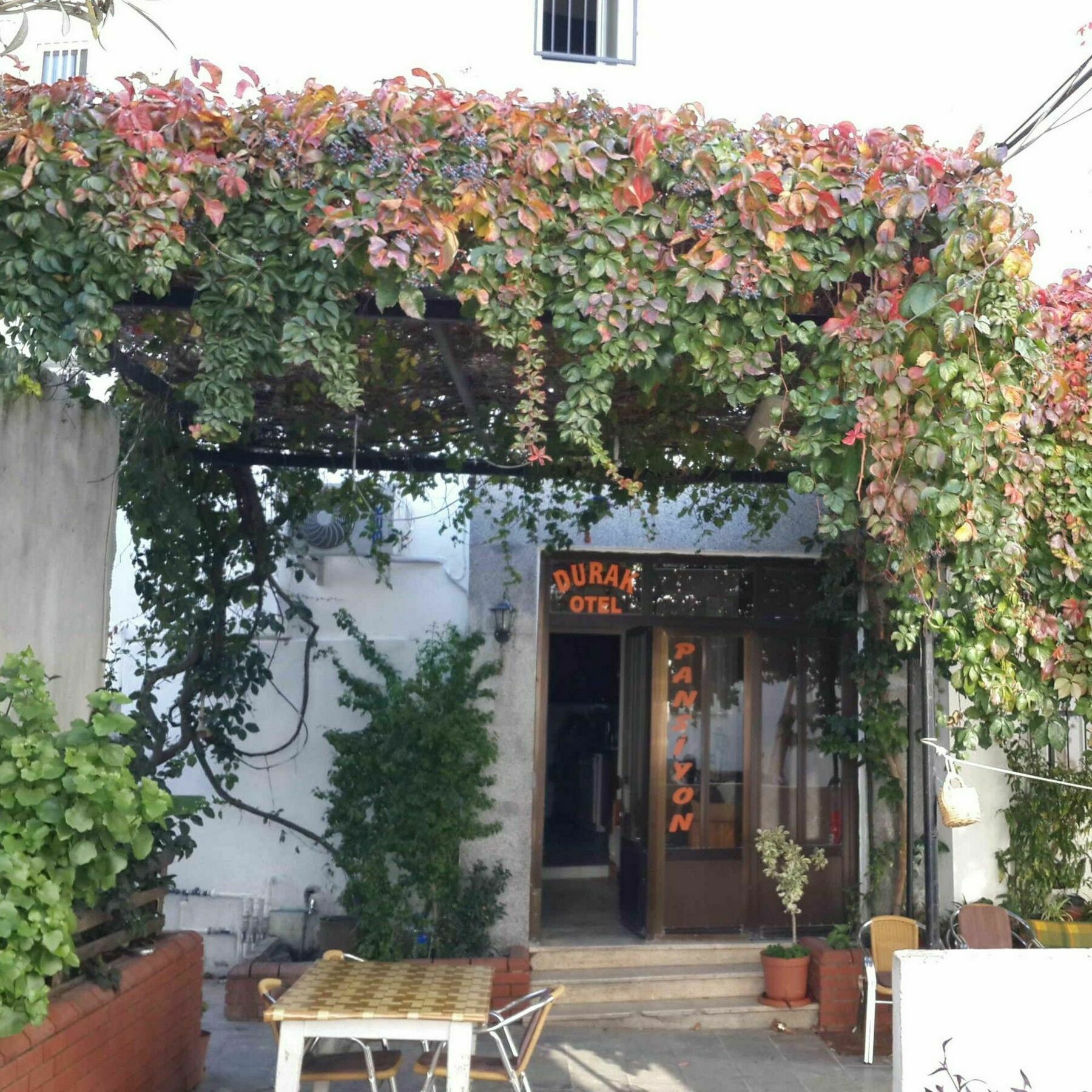 Durak Hotel Bodrum Zewnętrze zdjęcie